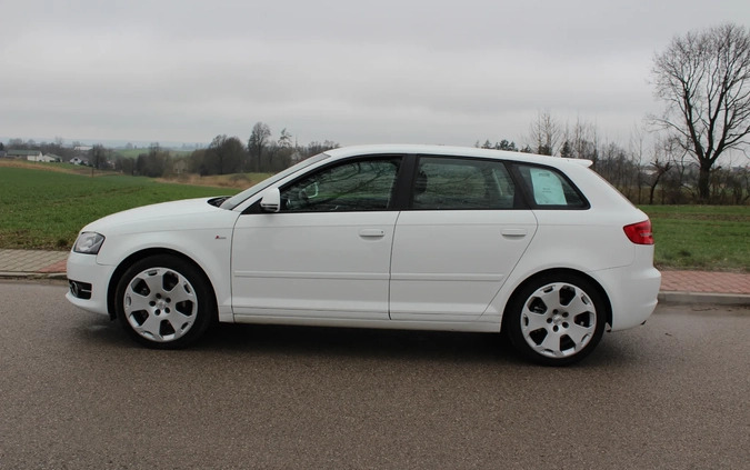 Audi A3 cena 28900 przebieg: 200000, rok produkcji 2009 z Czarna Woda małe 172
